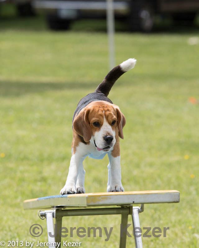 20130519-neat-0443.jpg