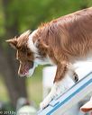 20130519-neat-0393