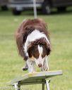 20130519-neat-0396