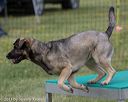 20130519-neat-0407