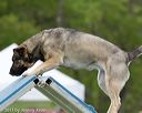 20130519-neat-0415