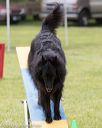 20130519-neat-0351