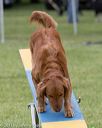 20130519-neat-0369