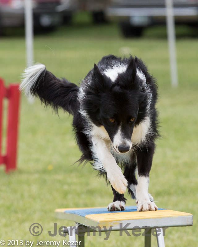 20130519-neat-0365.jpg