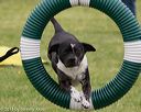 20130519-neat-0279