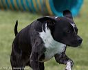 20130519-neat-0281