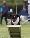 20130519-neat-0285