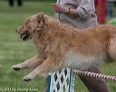 20130519-neat-0259