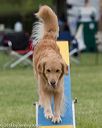 20130519-neat-0261