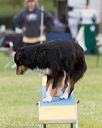 20130519-neat-0271