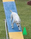 20130519-neat-0328