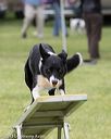 20130519-neat-0313