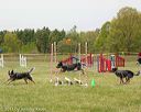 20130519-neatmc-0006