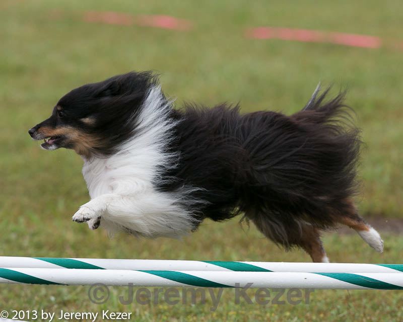 20130614-cckc-0085.jpg