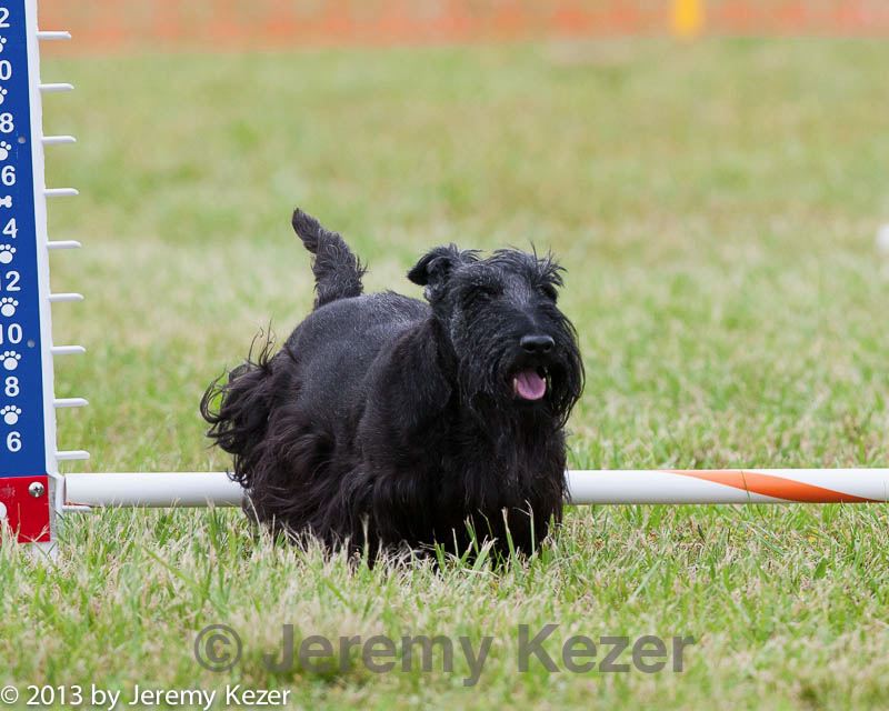 20130614-cckc-0826.jpg