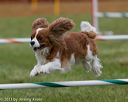 20130614-cckc-0468