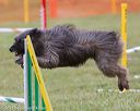 20130614-cckc-0137