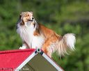 20130616-cckc-0079