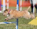 20130616-cckc-0086