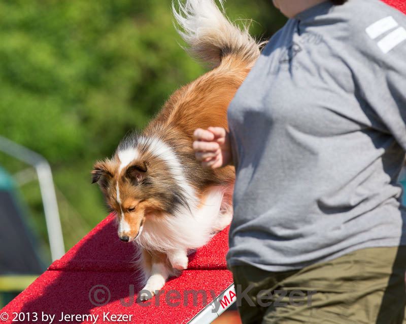 20130616-cckc-0080.jpg