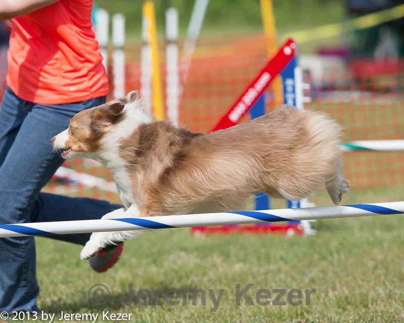 20130616-cckc-0134.jpg