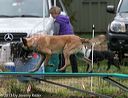 20131026-neat-0636
