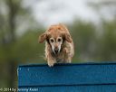 20140517-0098