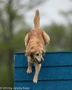 20140517-0100