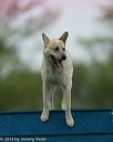 20140517-0122