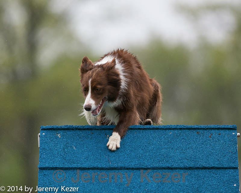 20140517-0107.jpg