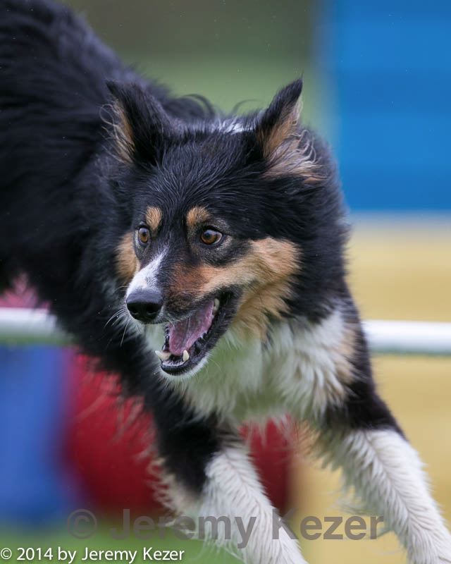 20140517-0120.jpg