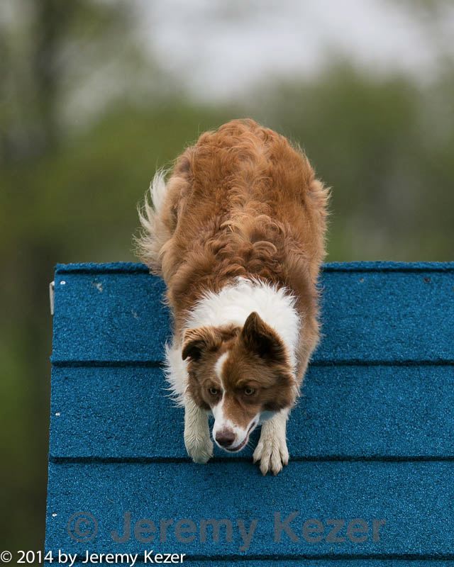 20140517-0137.jpg