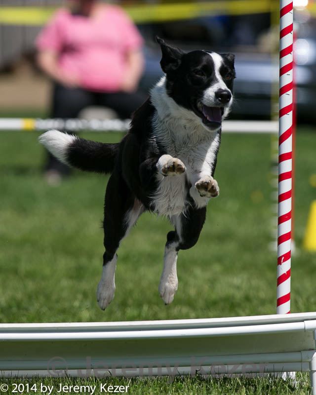 20140517-1243.jpg