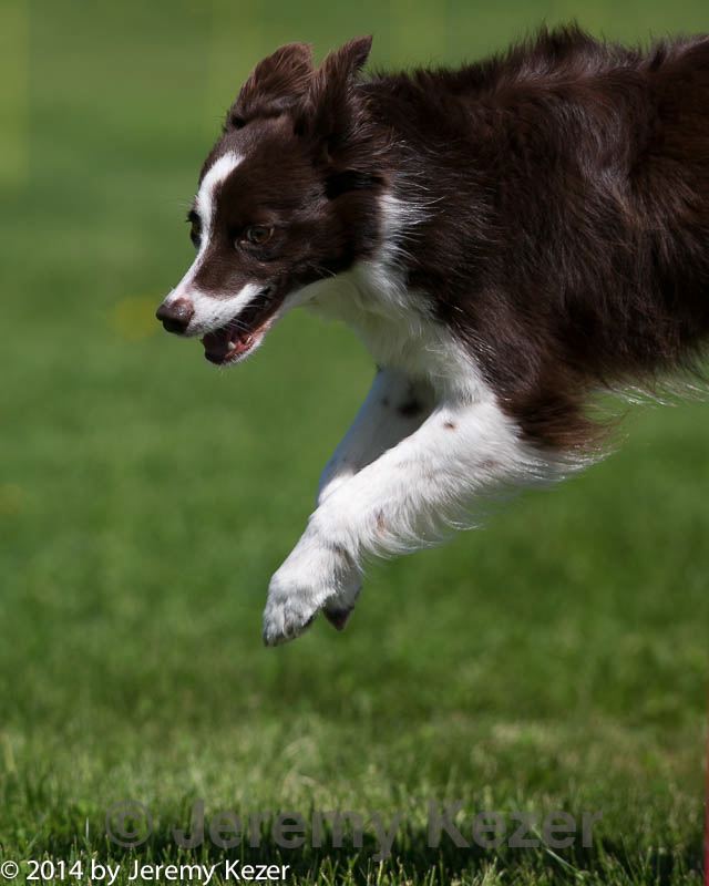 20140517-1257.jpg