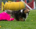 20140517-0197