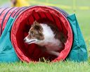 20140517-0252