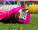 20140517-0256