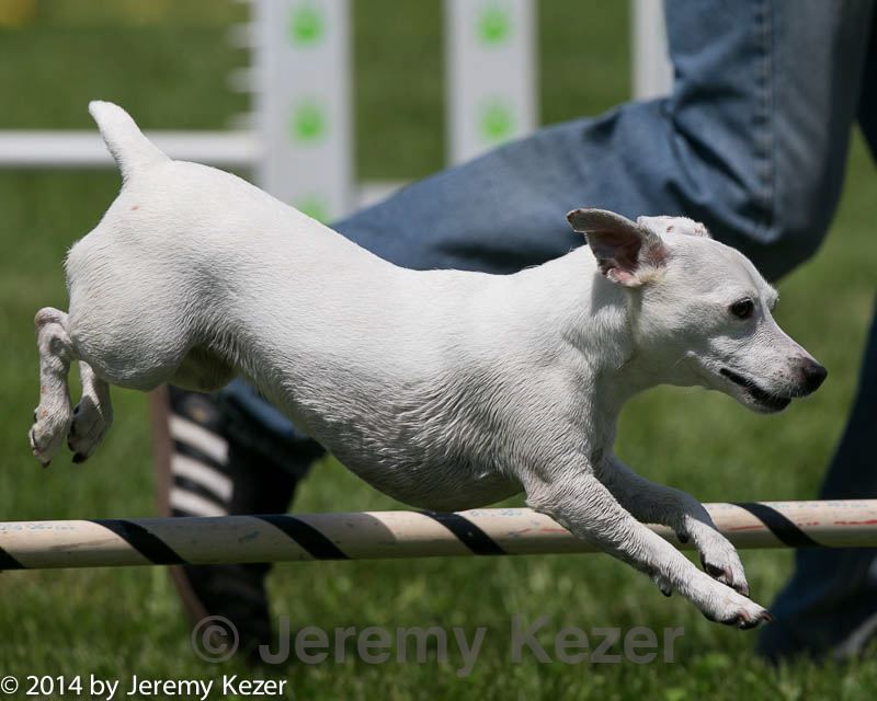 20140517-0870.jpg