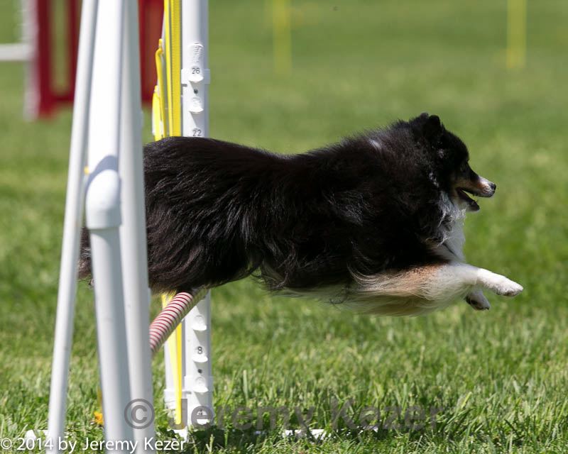 20140517-0887.jpg