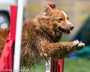 20140517-1212