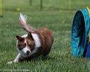 20140517-0916