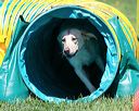 20140517-1017