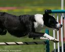 20140517-1070