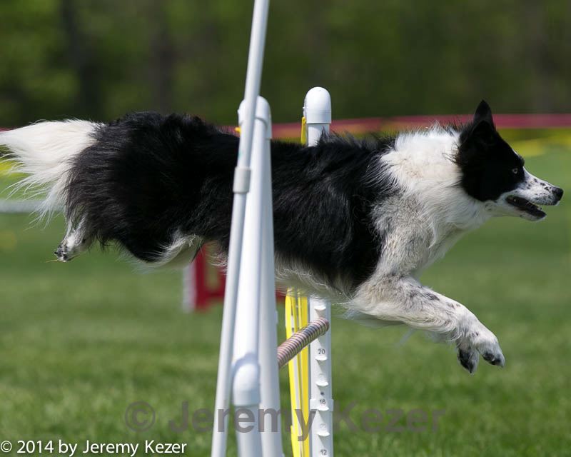 20140517-0904.jpg