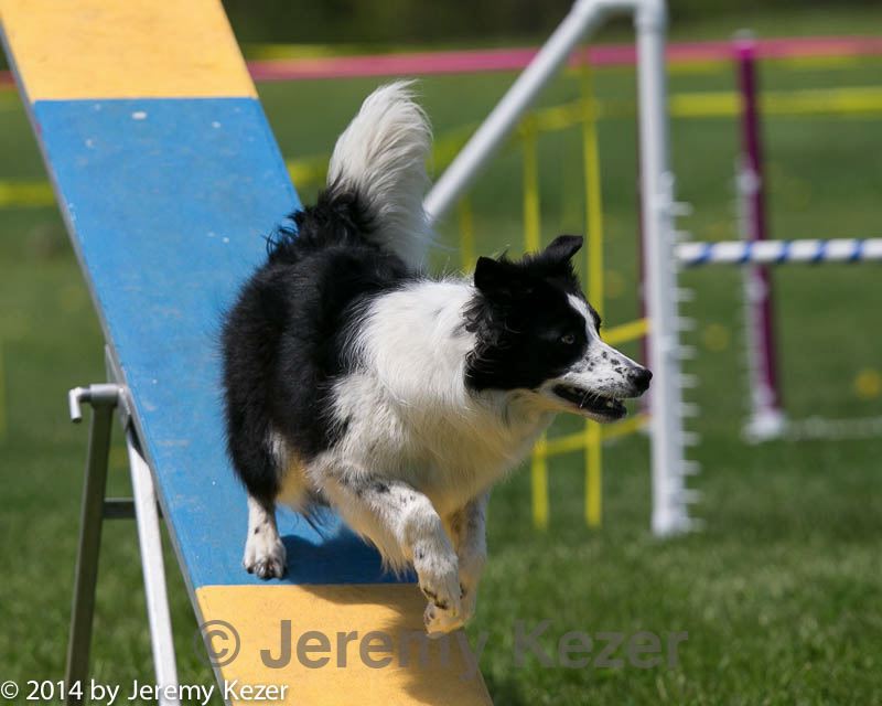 20140517-0908.jpg