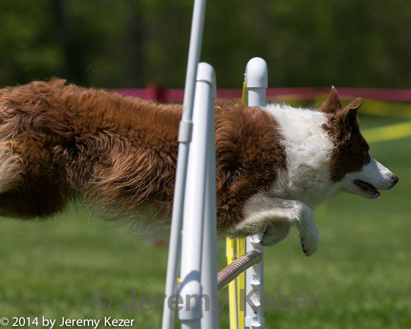 20140517-0926.jpg