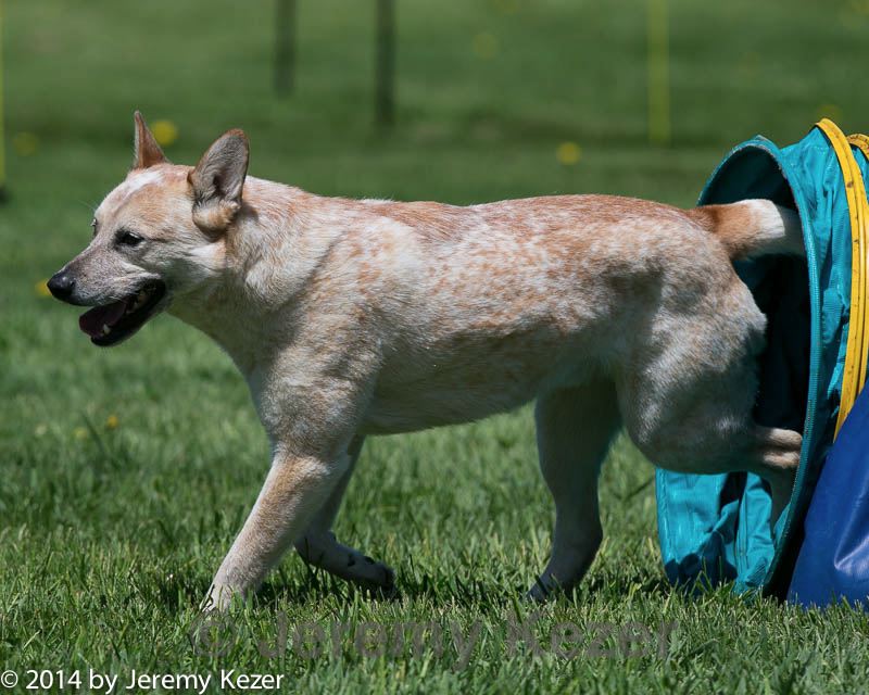 20140517-0934.jpg