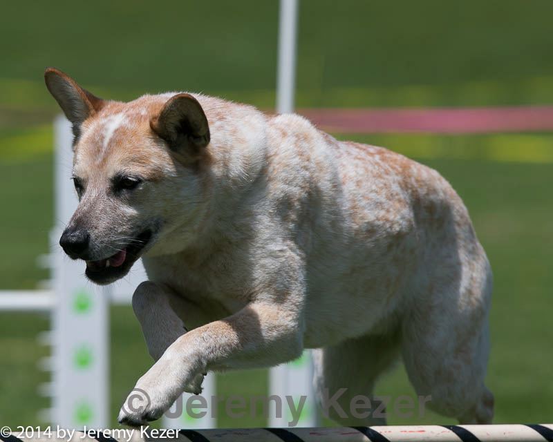 20140517-0936.jpg