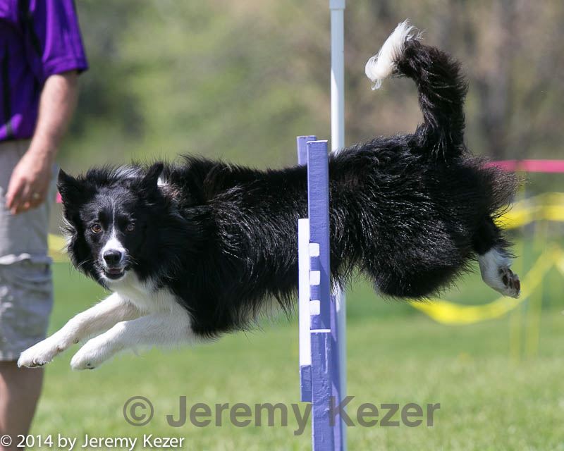 20140517-0961.jpg
