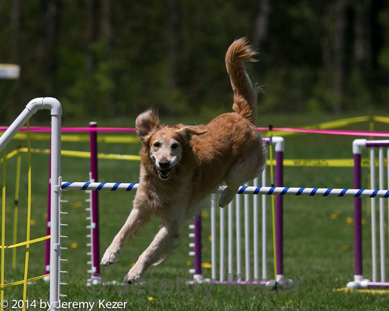 20140517-1115.jpg